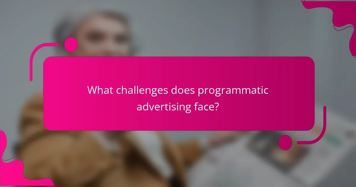 What challenges does programmatic advertising face?